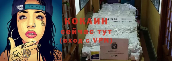 хмурый Покачи